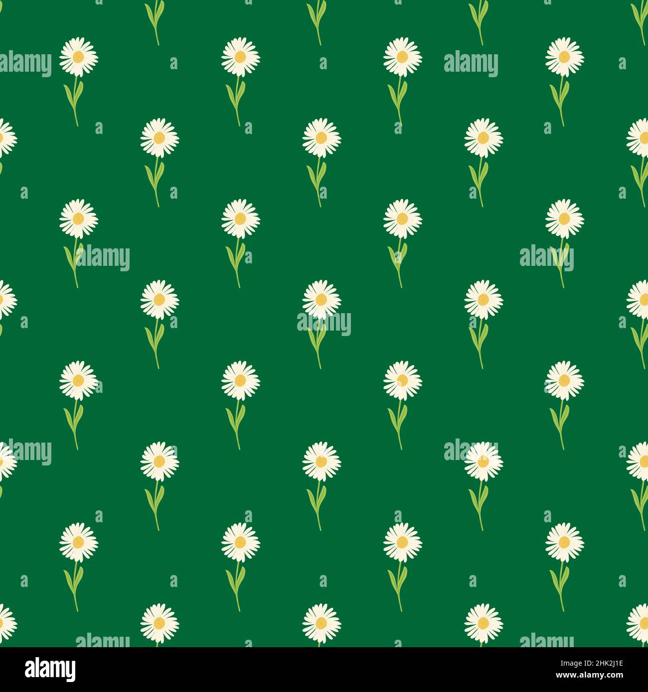 Scrapbook Botanic nahtlose Muster mit handgezeichneten weißen Chrysantheme Ornament. Grünes Gras heller Hintergrund. Abbildung des Bestandes. Vektordesign für Stock Vektor
