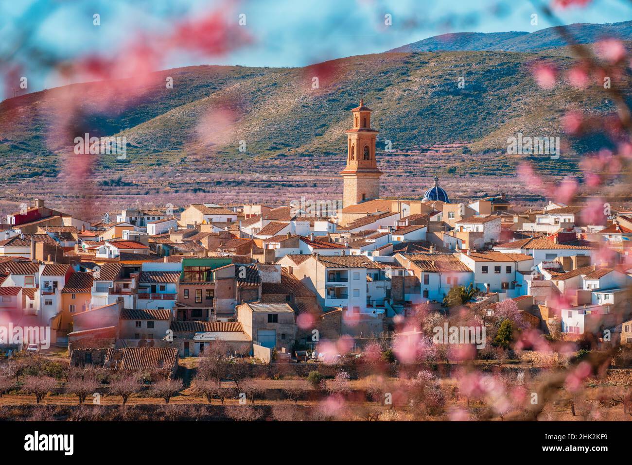 Mandelbäume blühen im Winter. Alcublas malerisches Dorf in Valencia, Spanien. Verschwommener Vordergrund Stockfoto