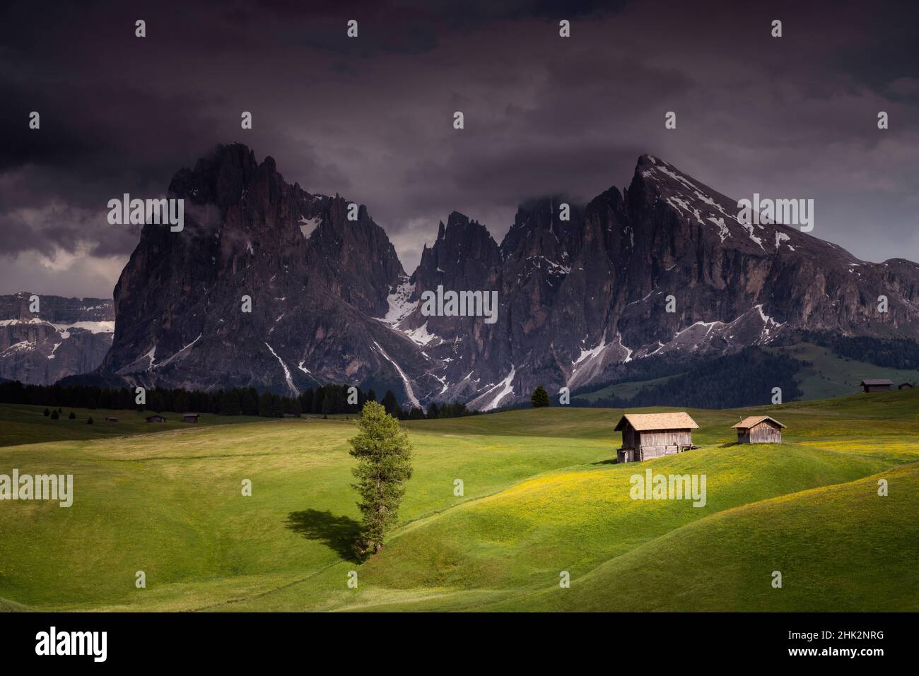 Europa, Italien, Südtirol. Alpwiesen mit dem Sasso Lungo und dem Sasso Piatto Gebirge. Stockfoto