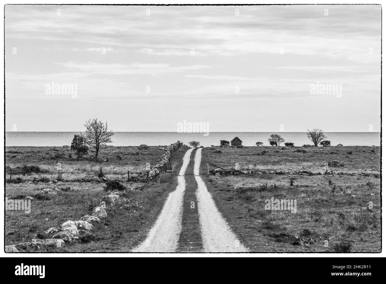 Schweden, Insel Gotland, Sundre, Landstraße, SüdGotland Stockfoto