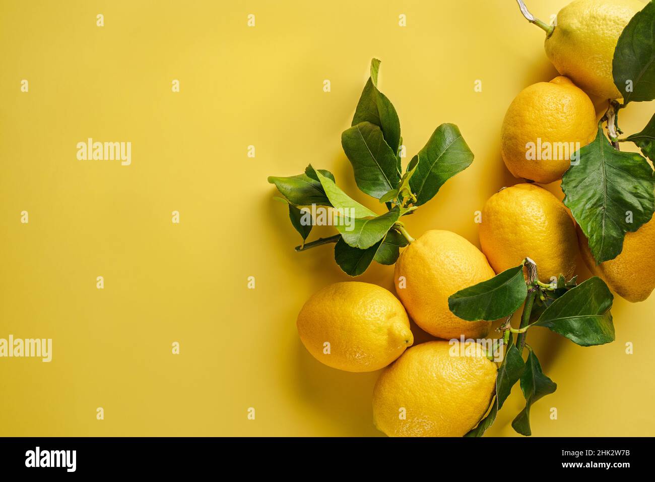 Frische Zitronen mit grünen Blättern auf gelbem Grund, flach liegend. Umweltfreundlich Null-Abfall-Einkauf. CO2 neutrale Gartenarbeit. Bio-Zitrusfrüchte Stockfoto