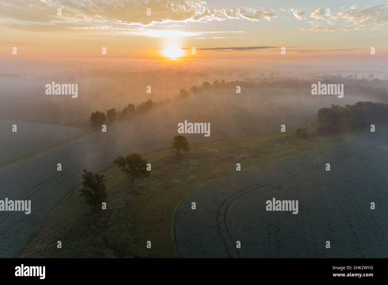 Sunrise and Fog, Marion County, Illinois Stockfoto