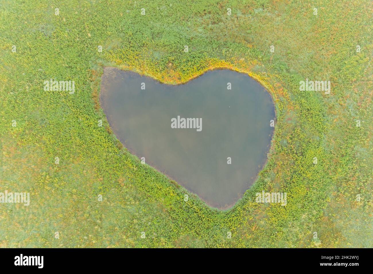 Herzförmiger Teich, Marion County, Illinois Stockfoto