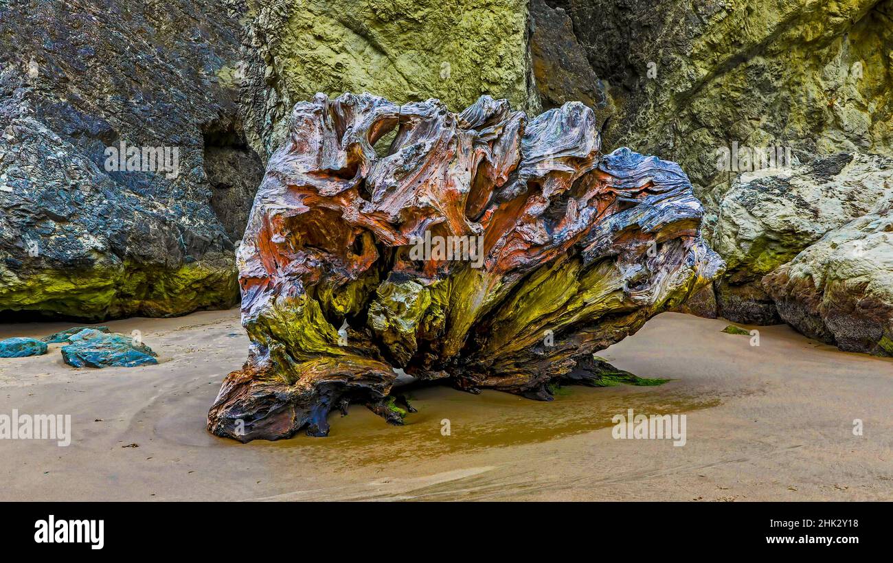 USA, Oregon, Bandon, Beach Stockfoto