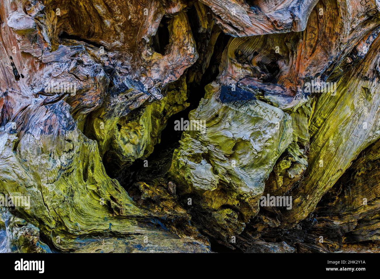 USA, Oregon, Bandon, Beach Stockfoto