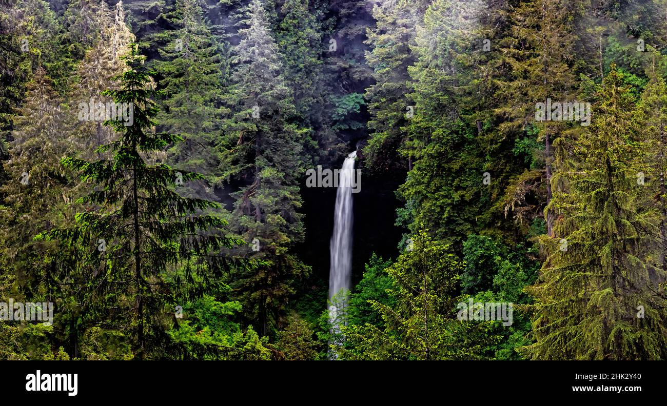 USA, Oregon, Silver Falls State Park, North fällt Stockfoto