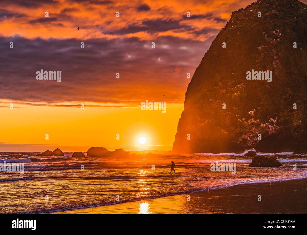 Spielen Vögel bunten Sonnenuntergang, Haystack Rock, Canon Beach, Clatsop County, Oregon. Ursprünglich entdeckt von Clark von Lewis Clark im Jahr 1805 Stockfoto