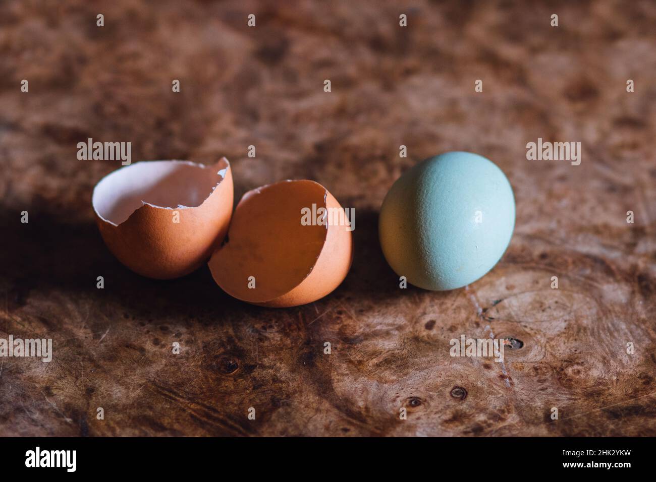Auf dem Holztisch sitzen ein gebrochenes braunes Ei und ein blaues Ei Stockfoto