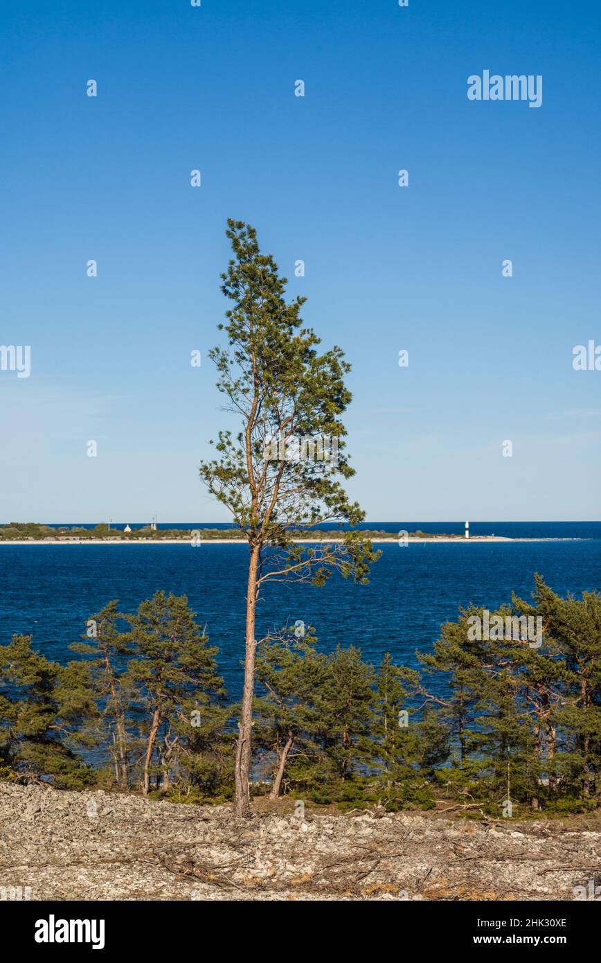 Schweden, Gotland Island, Bungenas, ehemalige Kreidemine und Militärstützpunkt, jetzt eine exklusive Ferienentwicklung und Naturreservat, Landschaft Stockfoto