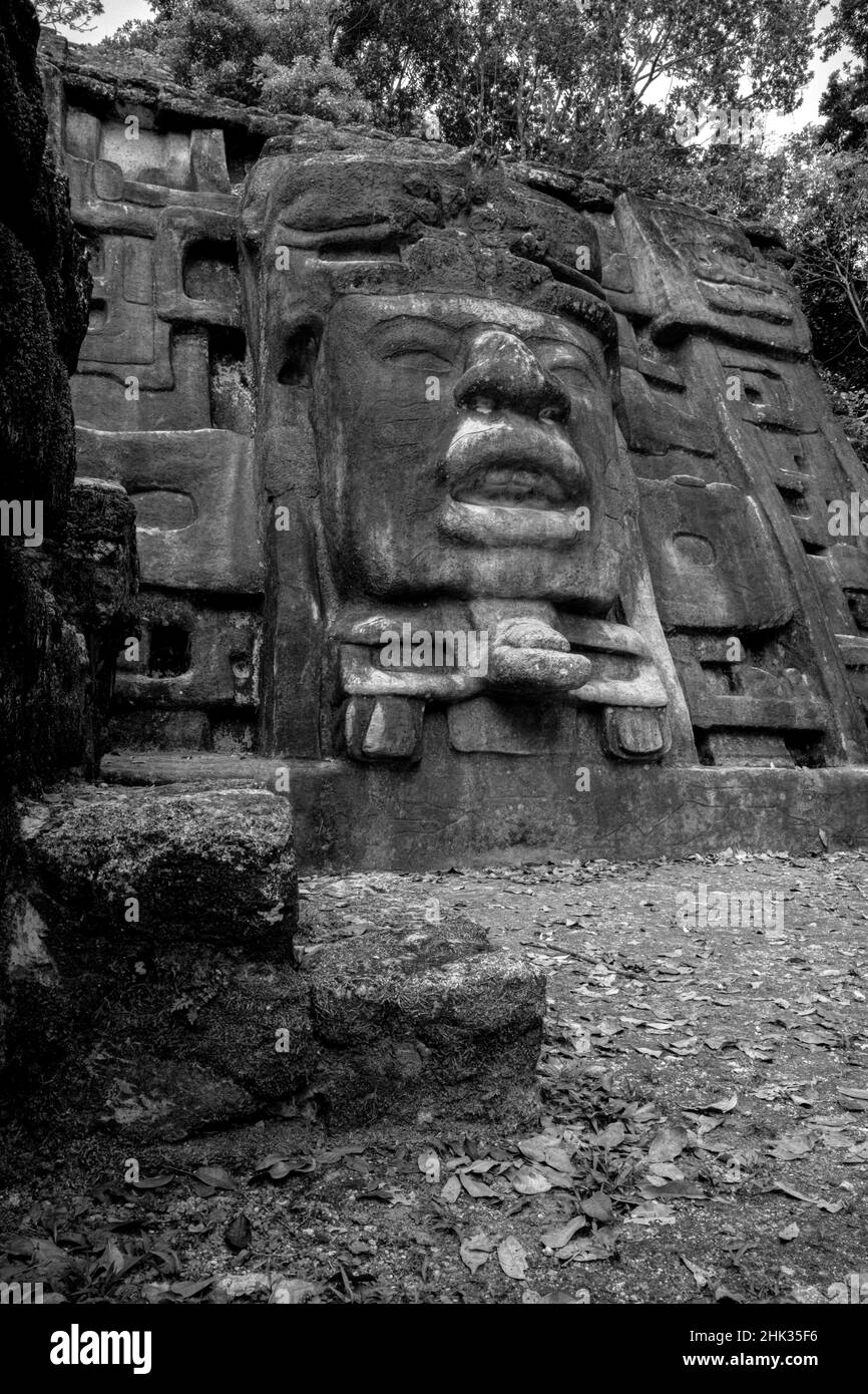 Belize, Mittelamerika. Ruine Des Maya-Tempels. Maskentempel. Lamanai. Datiert von AD 625. Stockfoto