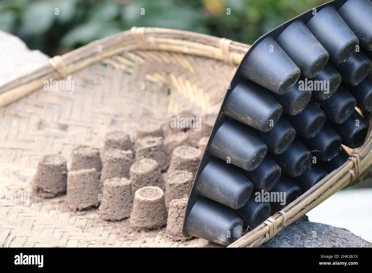 Leere Baumschule Schale nach dem Entfernen von alten Boden, der von Setzlingen vor verwendet wurde, Keimung Schale Vorbereitung für neue Setzlinge Pflanzen Stockfoto