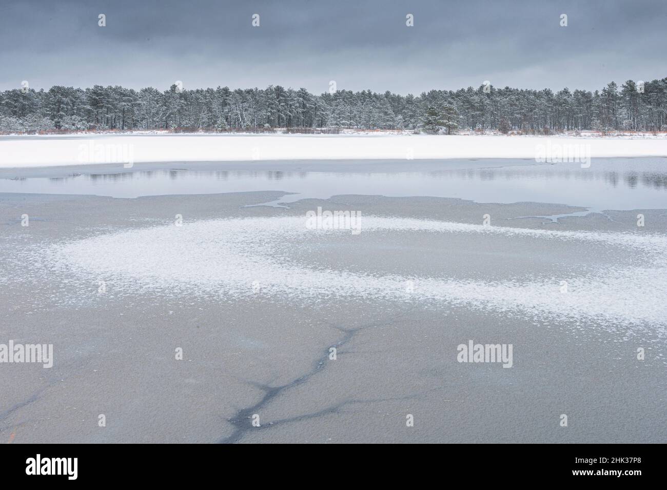 USA, New Jersey, Pine Barrens National Preserve. Winterlandschaft mit eisigen See. Stockfoto