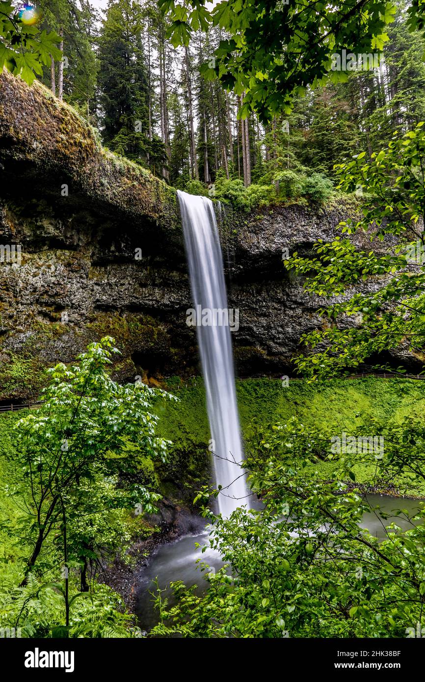 USA, Oregon, Silver Falls State Park, South Falls Stockfoto