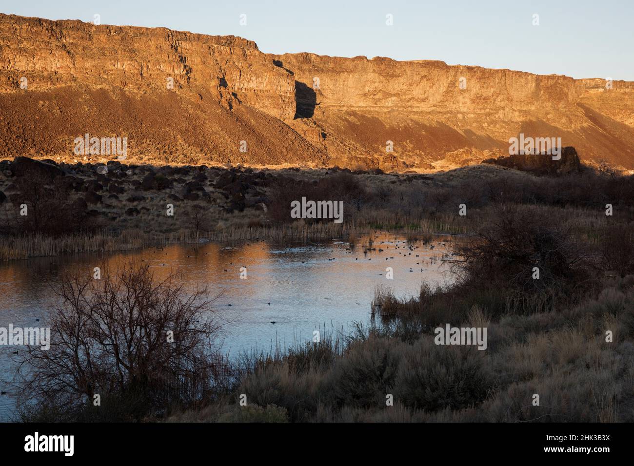 Kleiner Wasservogelteich, Snake River Canyon Stockfoto