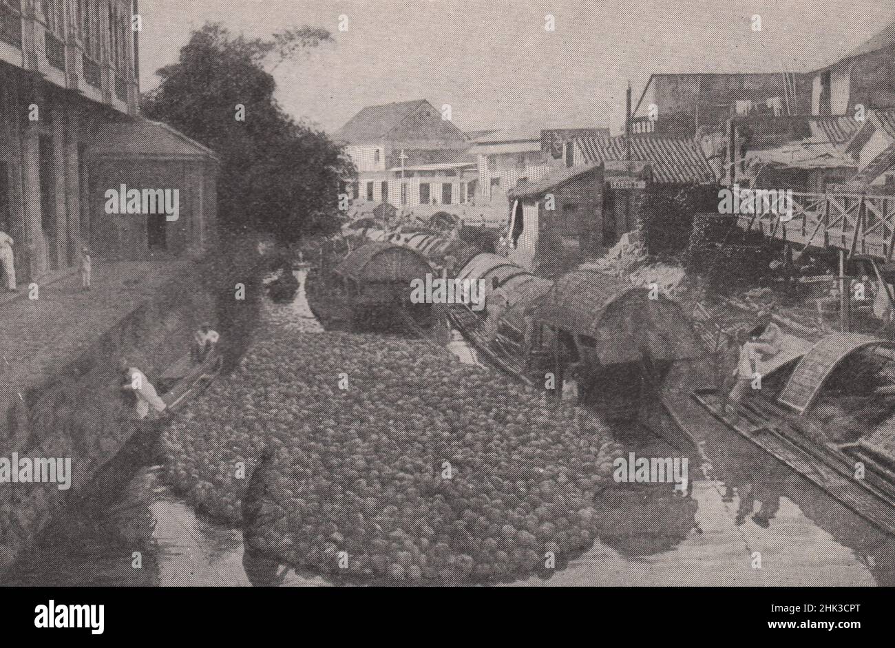 Überdachte Boote und ein Floß Kokosnüsse auf einem Kanal in Manila. Philippinen. Philippinische Inseln (1923) Stockfoto