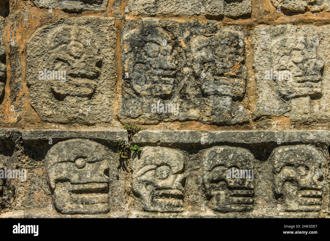 Nordamerika, Lateinamerika, Lateinamerika, Karibik, tropisch, Mexiko, Yucatan, Chichen Itza, Xchen Itza, Maya, Mayan, UNESCO-Weltkulturerbe, Stockfoto