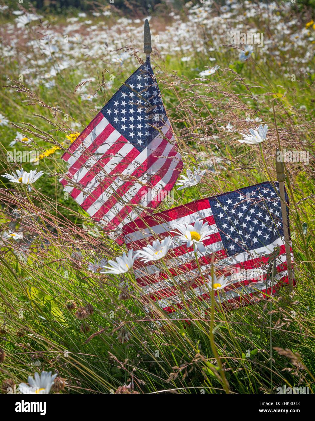 USA, Alaska, Ninilchik. US-Flaggen auf dem American Legion Cemetery. Kredit als: Don Paulson / Jaynes Gallery / DanitaDelimont.com Stockfoto