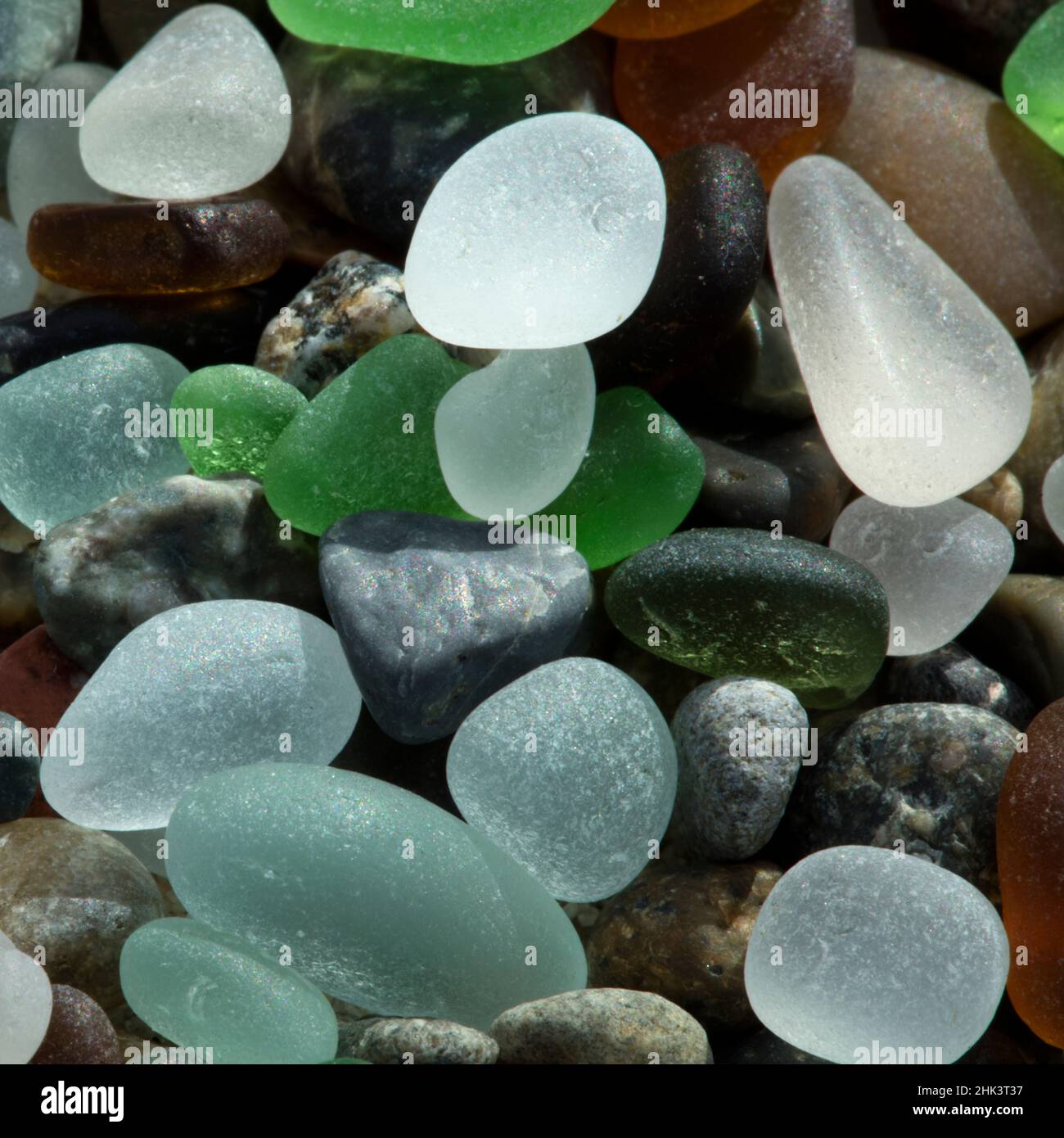 USA, Kalifornien. Natürliches Meeresglas am Strand. Credit as: Christopher Talbot Frank / Jaynes Gallery / DanitaDelimont.com Stockfoto