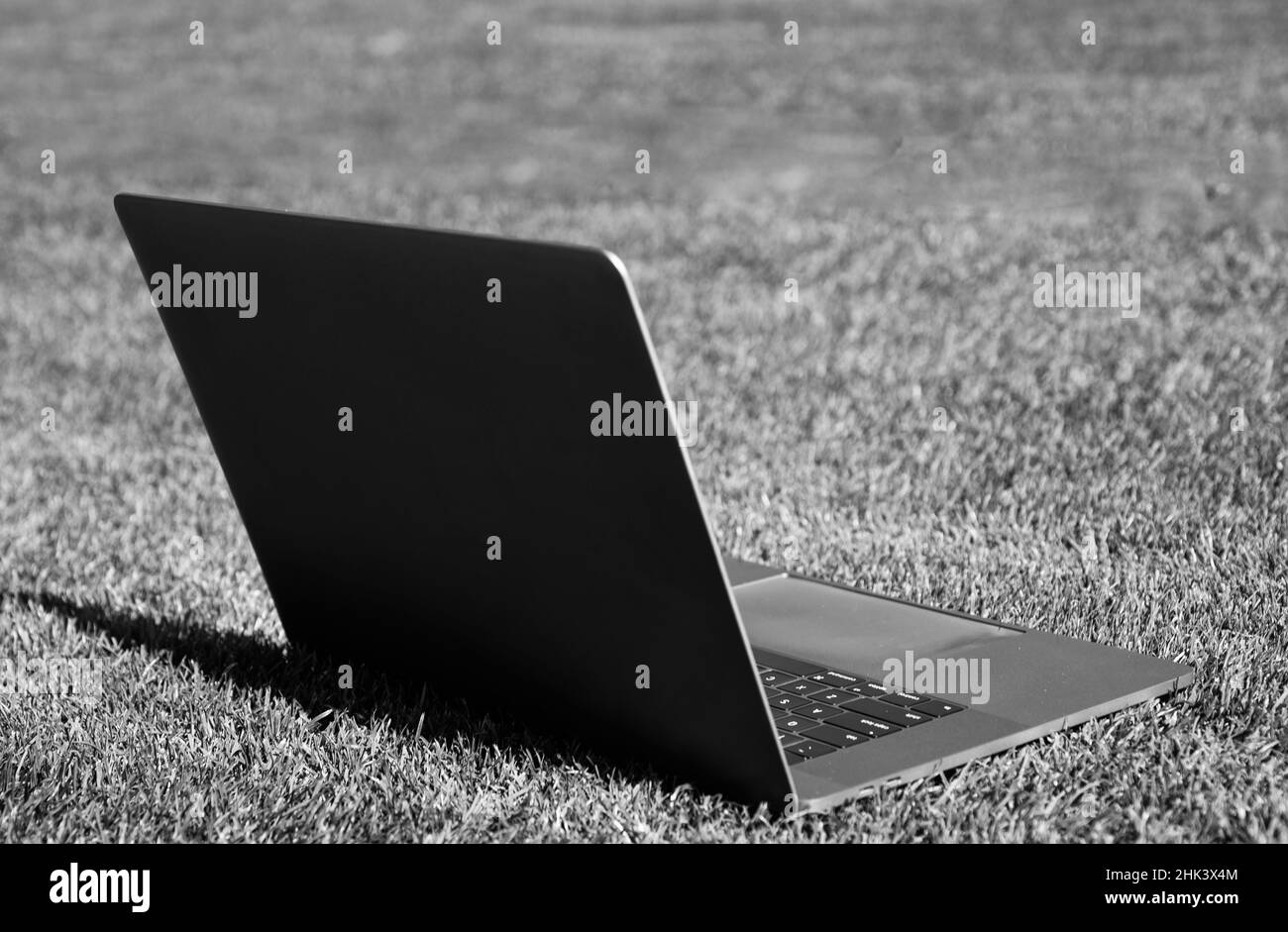 Laptop auf grünem Gras. Agiles Business. Fernlernkonzept. Immer online verfügbar. Arbeiten im Frischluftpark. Computer auf Rasen. Modern Stockfoto