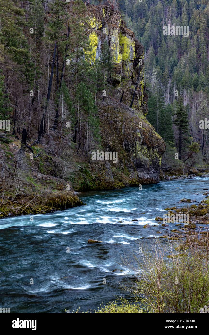 North Umpqua River im Umpqua National Forest, Oregon, USA Stockfoto
