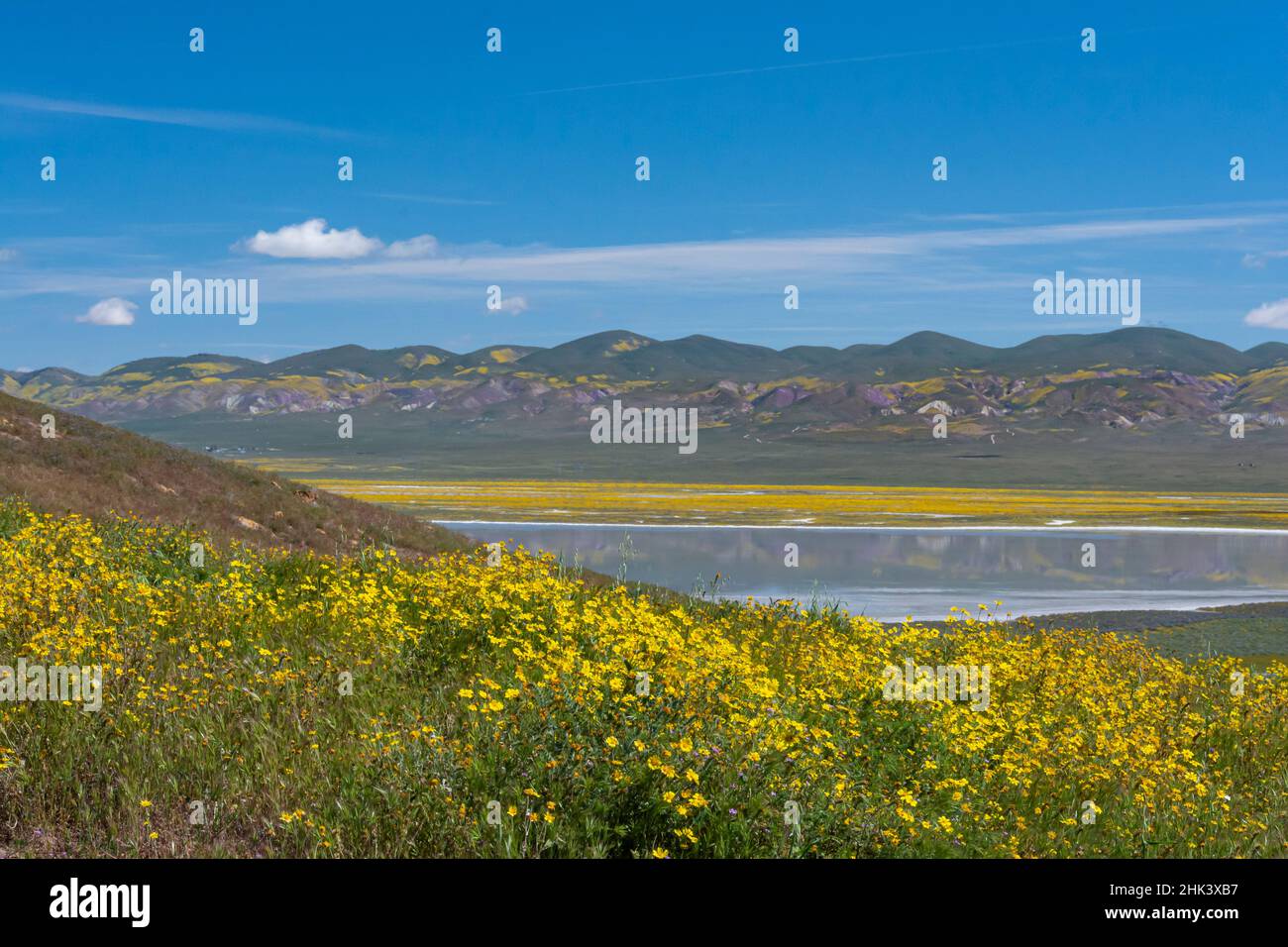 Usa, Kalifornien. Hanglandschaft, Wildblumen und See, Carrizo Plain National Monument Stockfoto