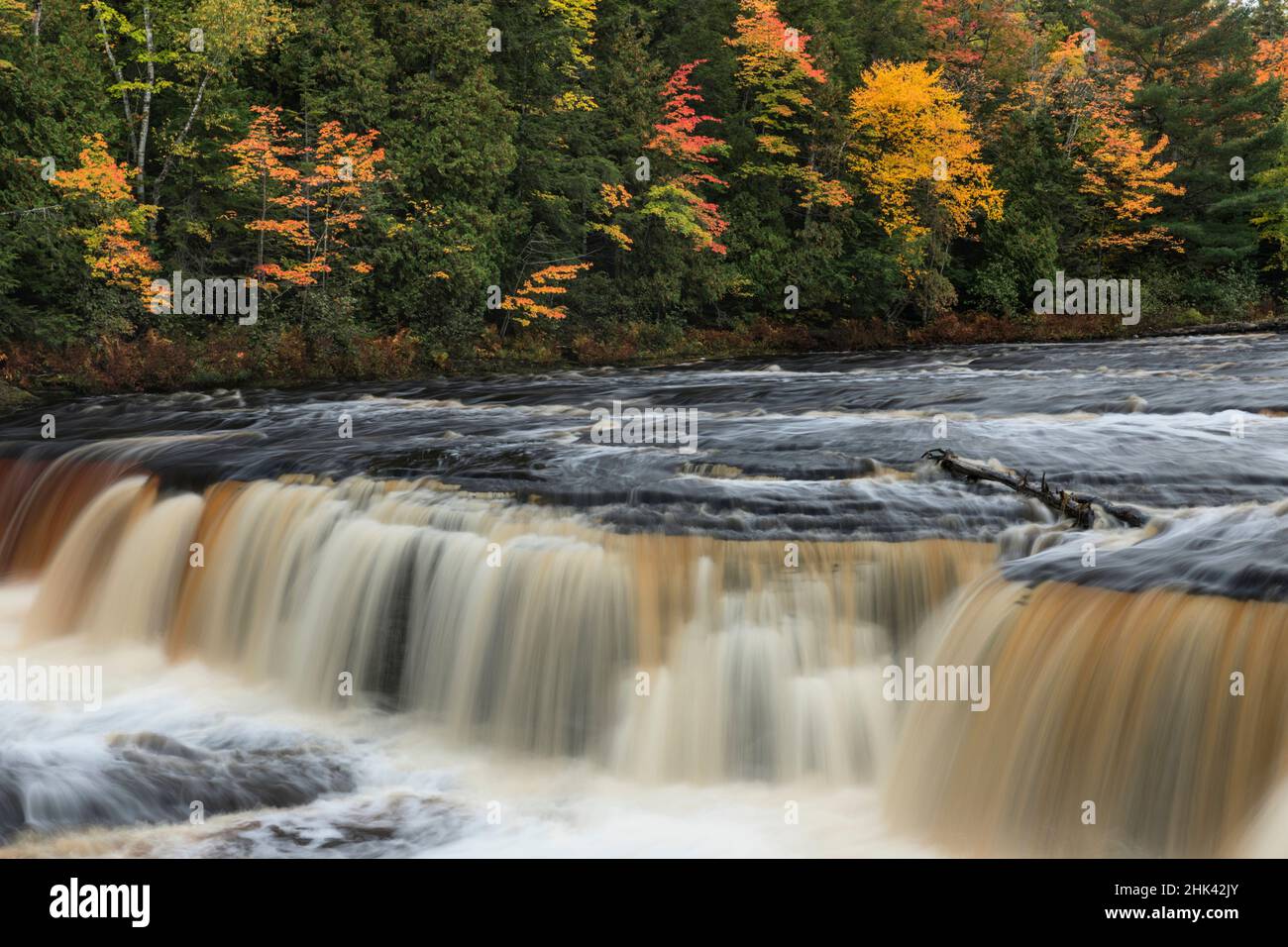 Tahquamenon Falls, Tahquamenon Falls State Park, Felchen, Michigan, der Oberen Halbinsel von Michigan Stockfoto