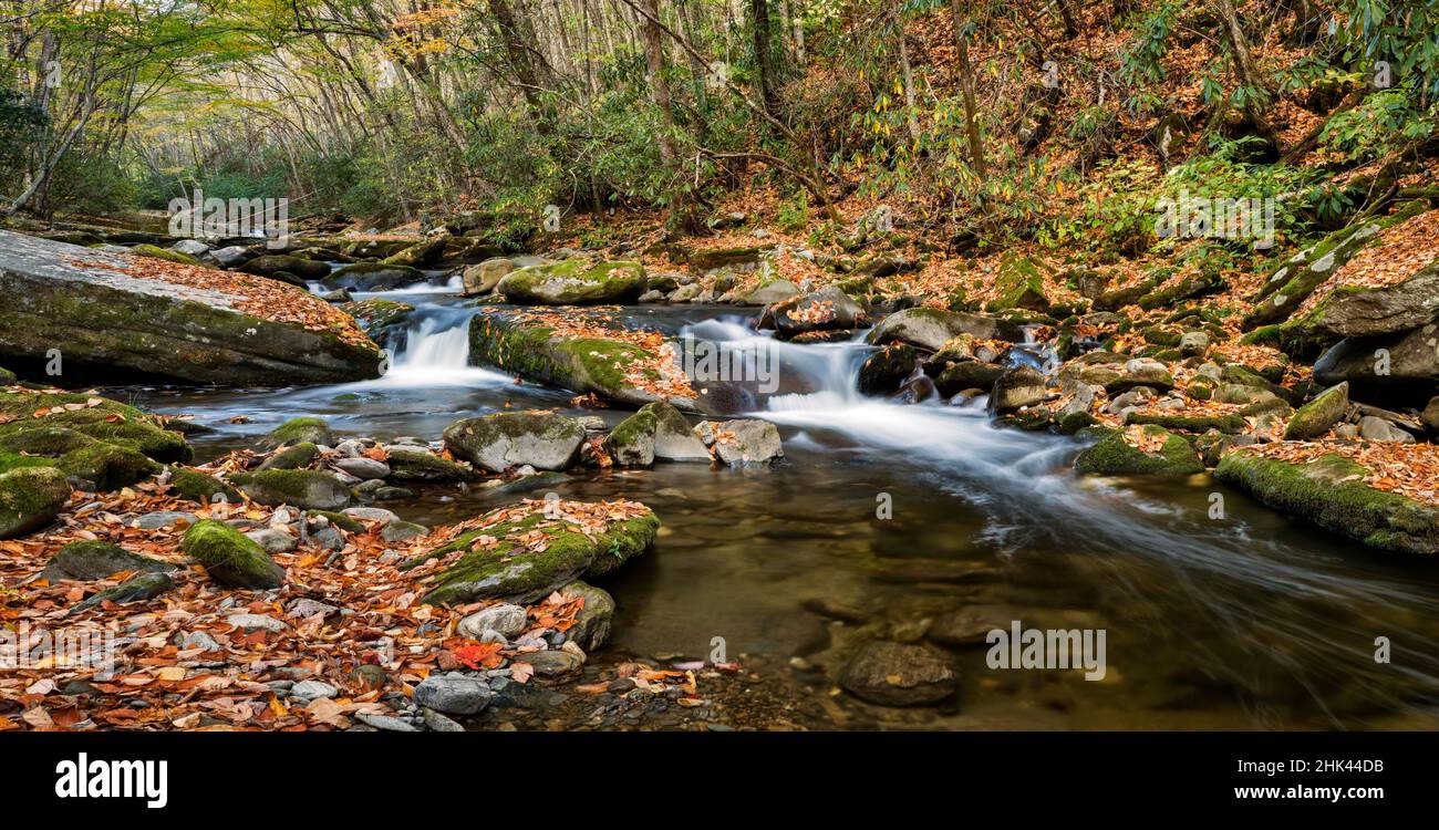 USA, North Carolina, Cherokee, Great Smoky Mountains National Park, Panorama of Straight Fork Stockfoto