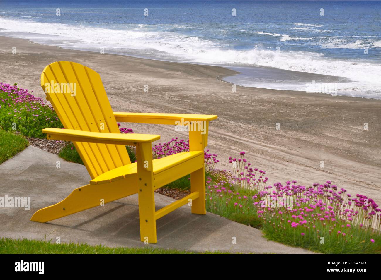 USA, Oregon. Gelber Adirondack-Stuhl und rosige Plektritis-Blüten an der Küste. Stockfoto