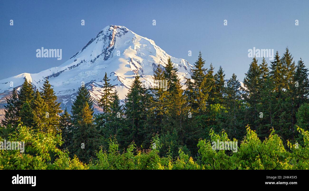 USA, Oregon, Hood River County. Die Sonne geht auf Mount Hood unter. Stockfoto