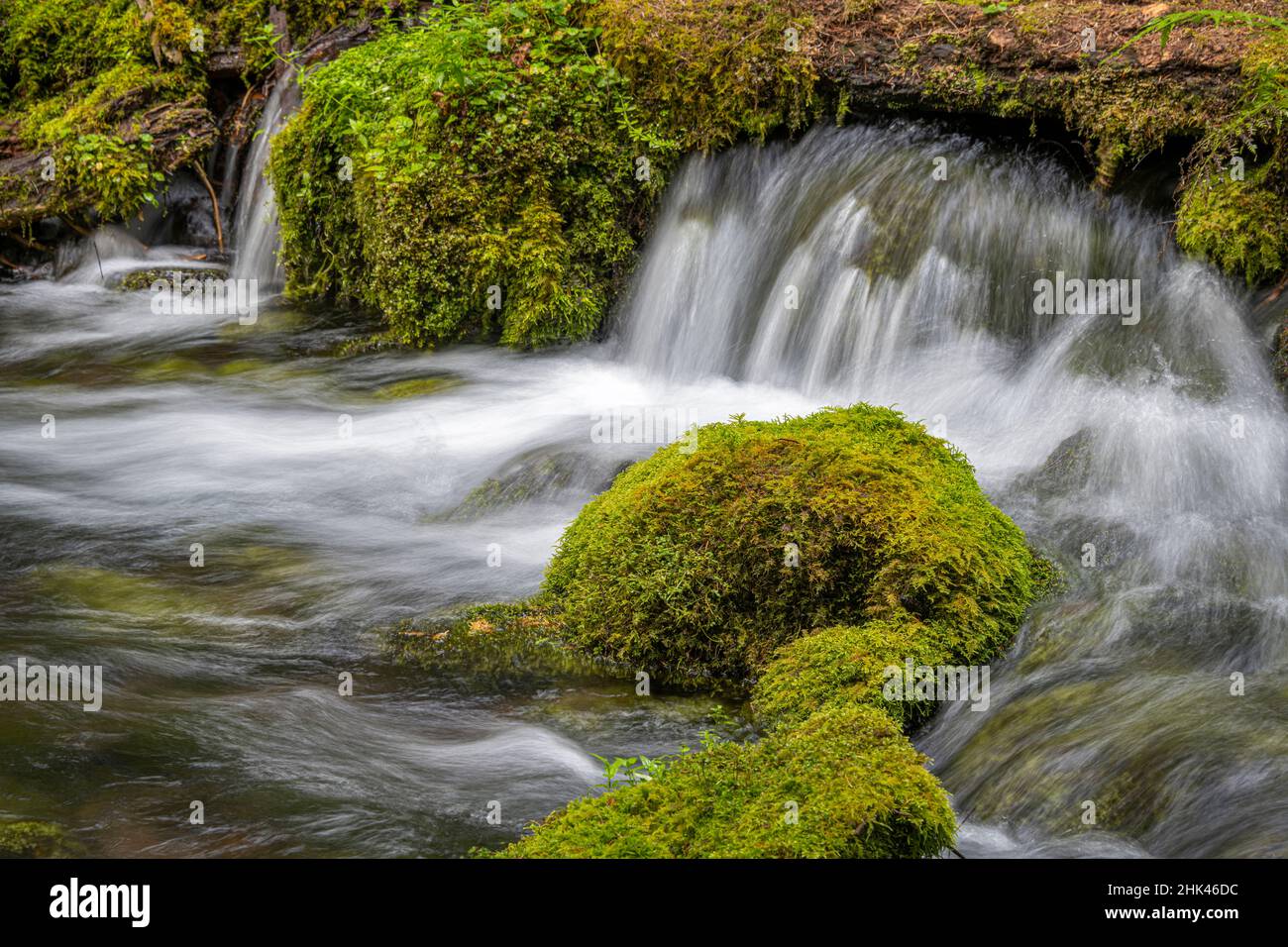 Kleiner Wasserfall stürzt über moosige Felsen in Olallie Creek in der Nähe des McKenzie River, Willamette National Forest, Cascade Mountains, Oregon. Stockfoto