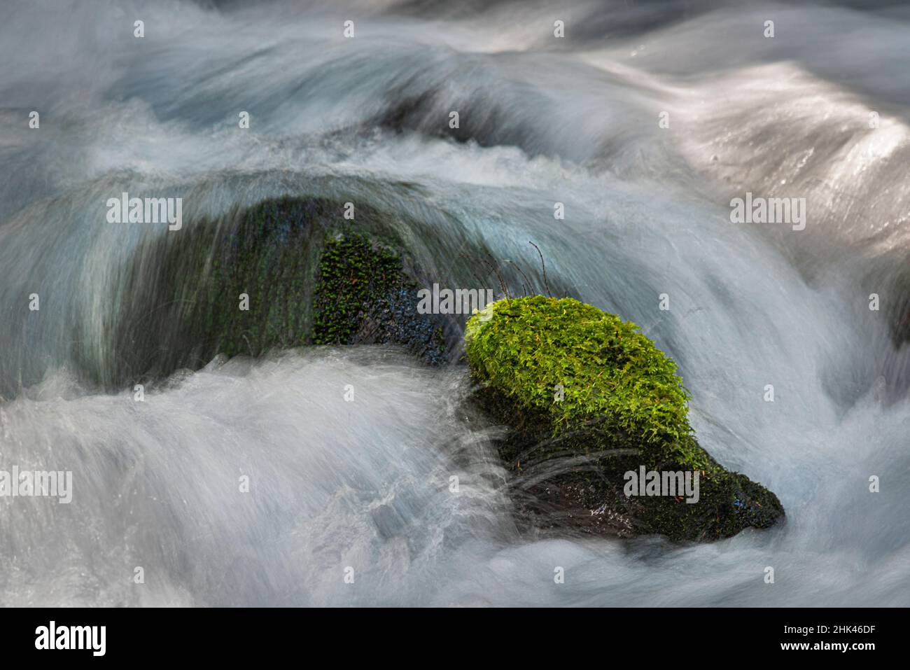 Wasserfällen über moosigen Felsen in Olallie Creek in der Nähe von McKenzie River, Willamette National Forest, Cascade Mountains, Oregon. Stockfoto