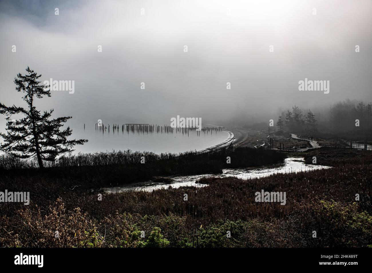 Anacortes, Washington State, Landschaft, gebogener Strand. Stockfoto