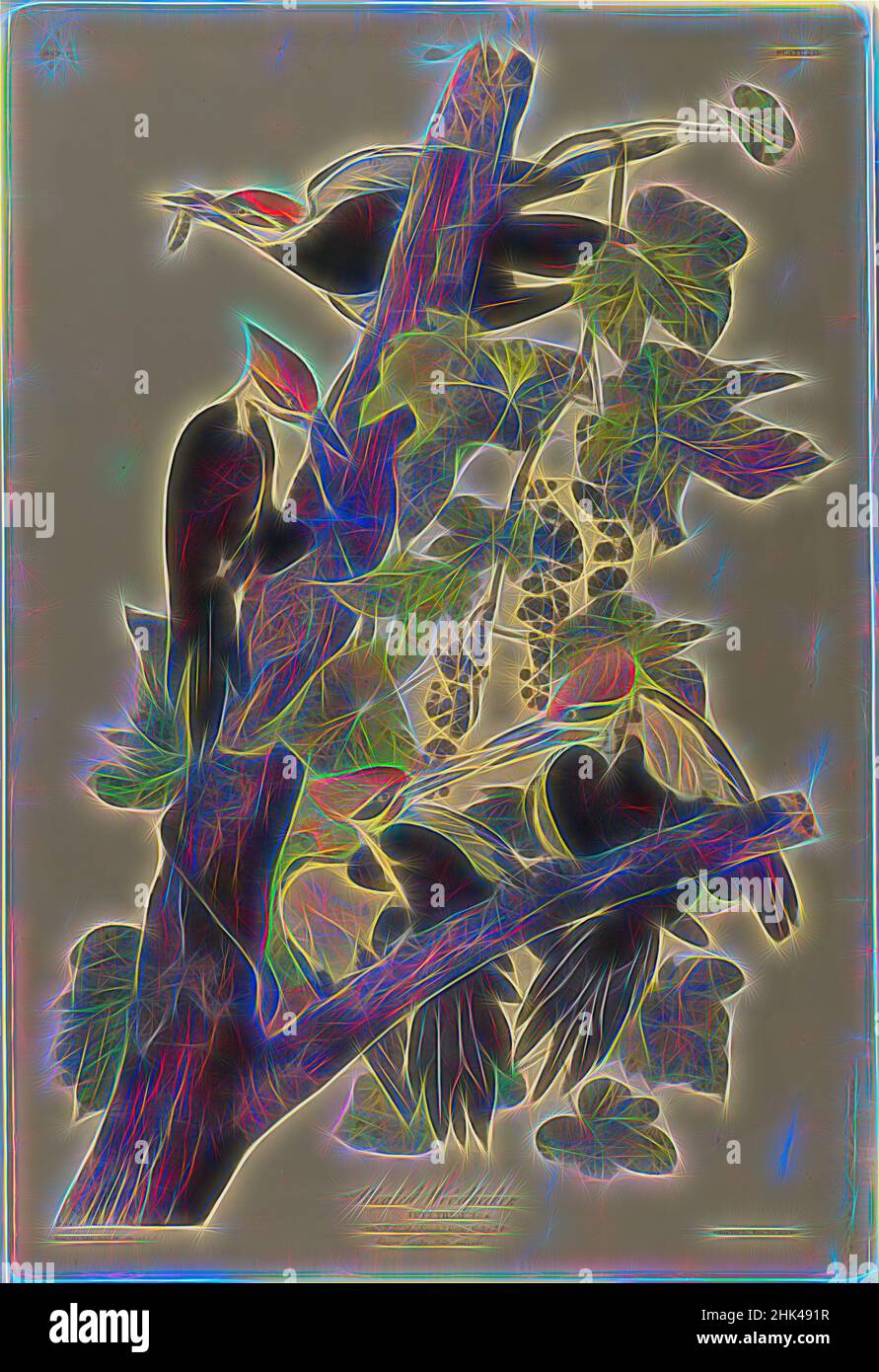 Inspiriert von Pileated Woodpecker, John James Audubon, Amerikaner, geboren in Haiti, 1785-1851, Chromolithograph, 1861, 40 x 27 Zoll, 101,6 x 68,6 cm, Zweige, Fauna, Flora, Blätter, Naturstudie, Ornithologie, Picus pileatus, Waschbär, Reben, Vitis aestivalis, neu erfunden von Artotop. Klassische Kunst neu erfunden mit einem modernen Twist. Design von warmen fröhlichen Leuchten der Helligkeit und Lichtstrahl Strahlkraft. Fotografie inspiriert von Surrealismus und Futurismus, umarmt dynamische Energie der modernen Technologie, Bewegung, Geschwindigkeit und Kultur zu revolutionieren Stockfoto