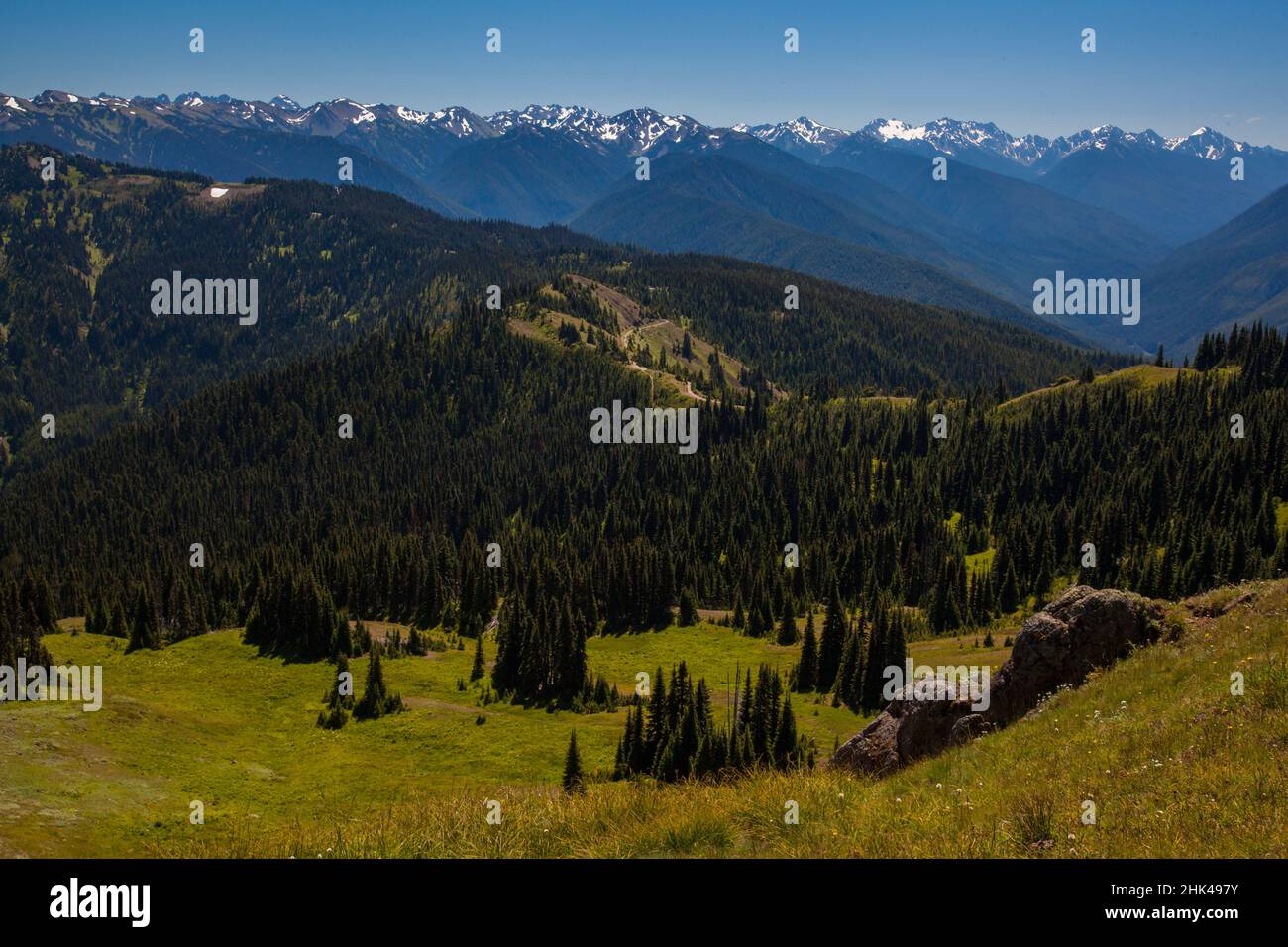 Wanderer genießen den Blick auf die olympische Bergkette im Olympic National Park im Bundesstaat Washington. Stockfoto