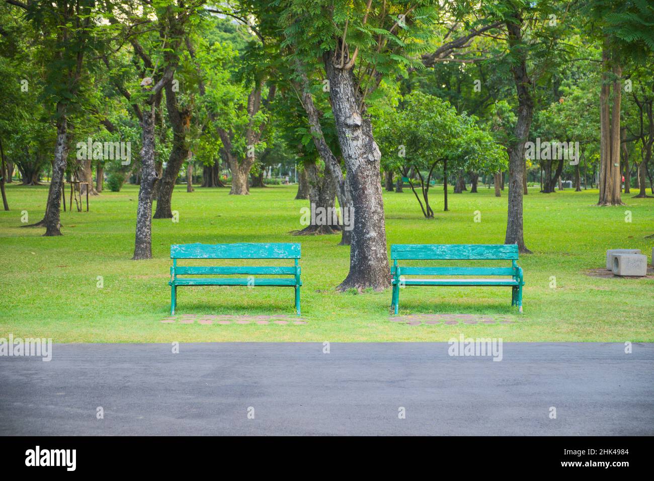 Zwei grüne Bänke unter Bäumen im Park, damit sich die Menschen auf Reisen, beim Sport und anderen im öffentlichen Park entspannen können Stockfoto