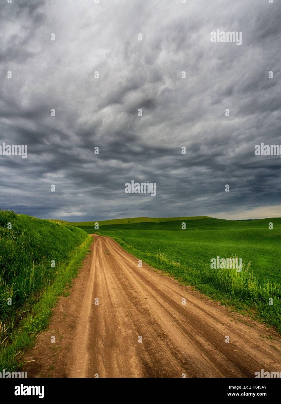 Nordamerika, USA, Washington, Palouse Country, stürmischer Tag auf dem Weg durch das Hinterland Stockfoto