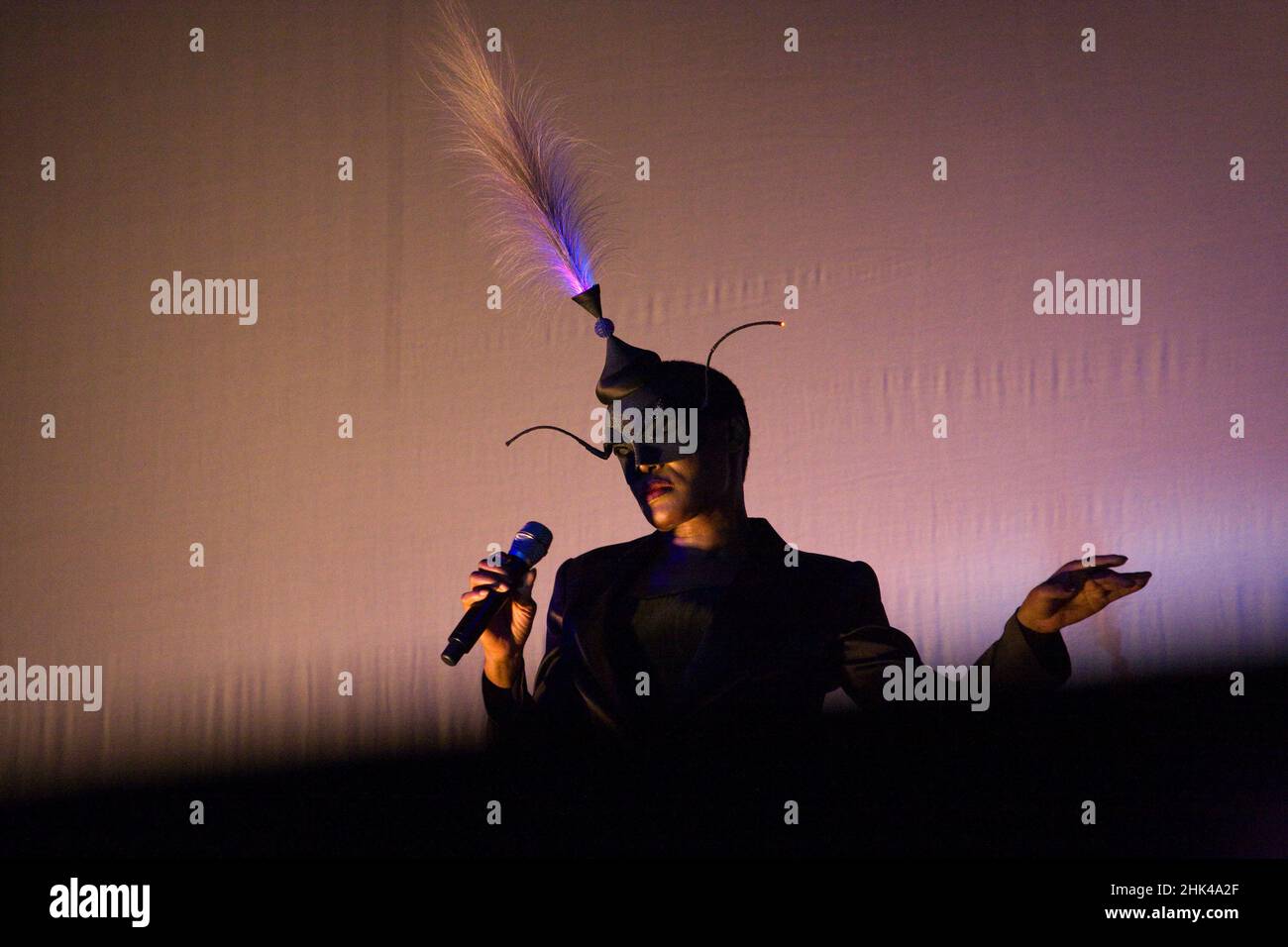 Disco Diva Grace Jones spielt das Electric Picnic 2008 Stockfoto