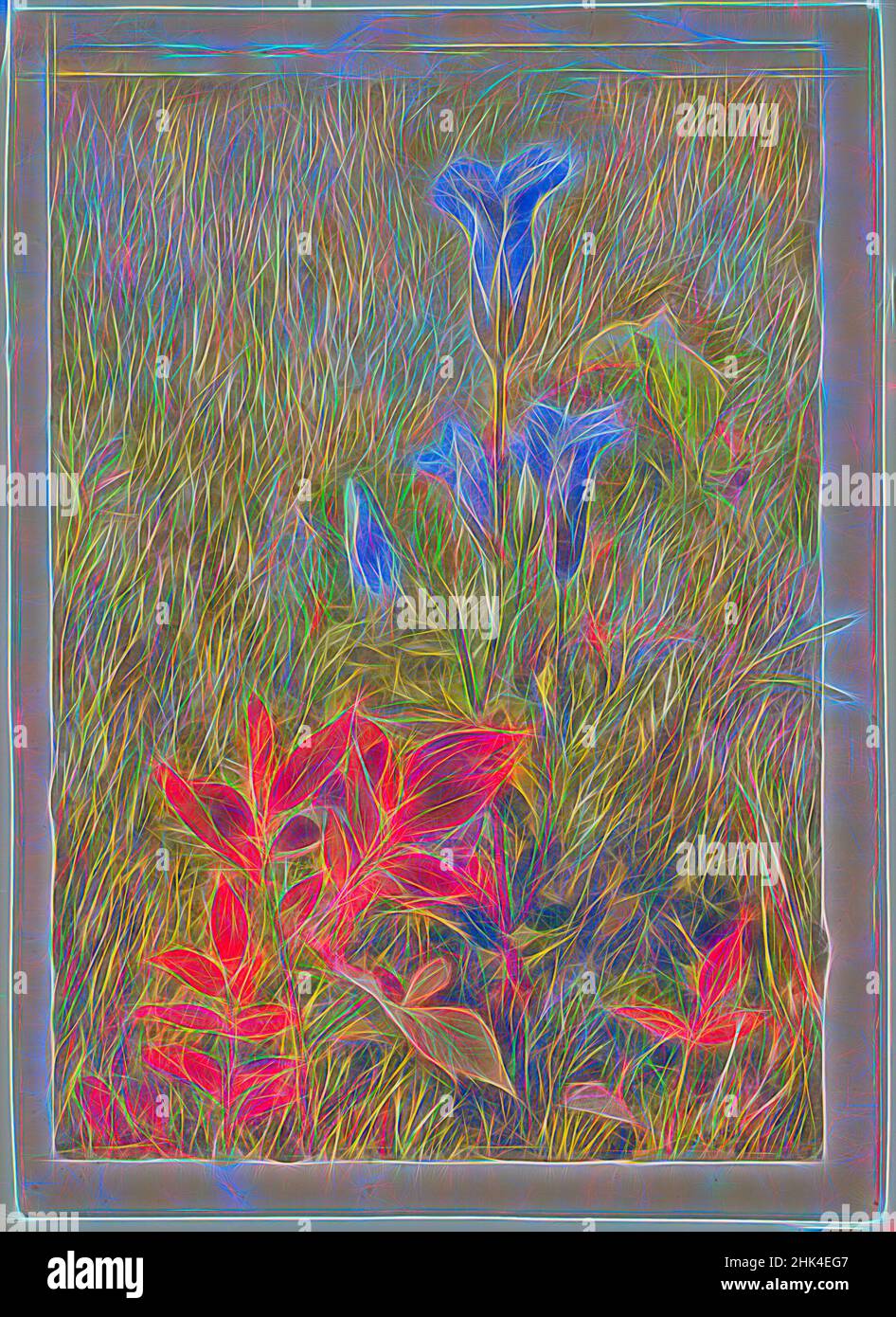 Inspiriert von gesäumten Enzianen, John Henry Hill, Amerikaner, 1839-1922, Aquarell mit Graphitstift-Unterzeichnung auf Papier, ca. 1867, 10 1/8 x 7 1/8 Zoll, 25,7 x 18,1 cm, 19th Jahrhundert, amerikanisch, Zeichnung, Feld, Blume, Blumen, gefranste Enziane, Enziane, Graphit, Graphitstift, Gras, Landschaft, neu erfunden von Artotop. Klassische Kunst neu erfunden mit einem modernen Twist. Design von warmen fröhlichen Leuchten der Helligkeit und Lichtstrahl Strahlkraft. Fotografie inspiriert von Surrealismus und Futurismus, umarmt dynamische Energie der modernen Technologie, Bewegung, Geschwindigkeit und Kultur zu revolutionieren Stockfoto