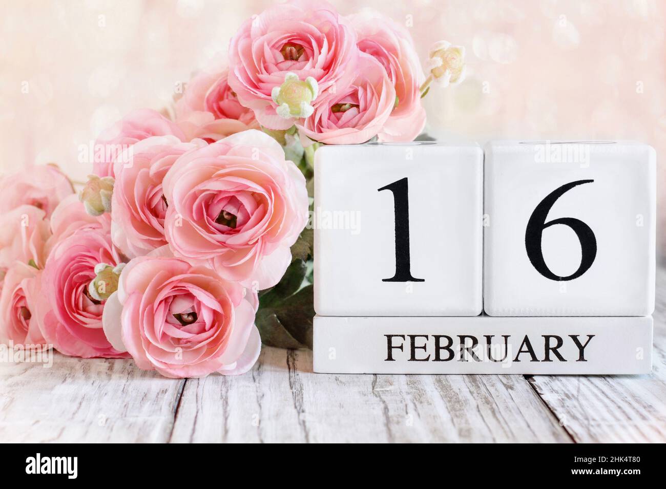Weiße Holz-Kalenderblöcke mit dem Datum Februar 16th und rosa Ranunculus-Blumen über einem Holztisch. Selektiver Fokus mit unscharfem Hintergrund. Stockfoto