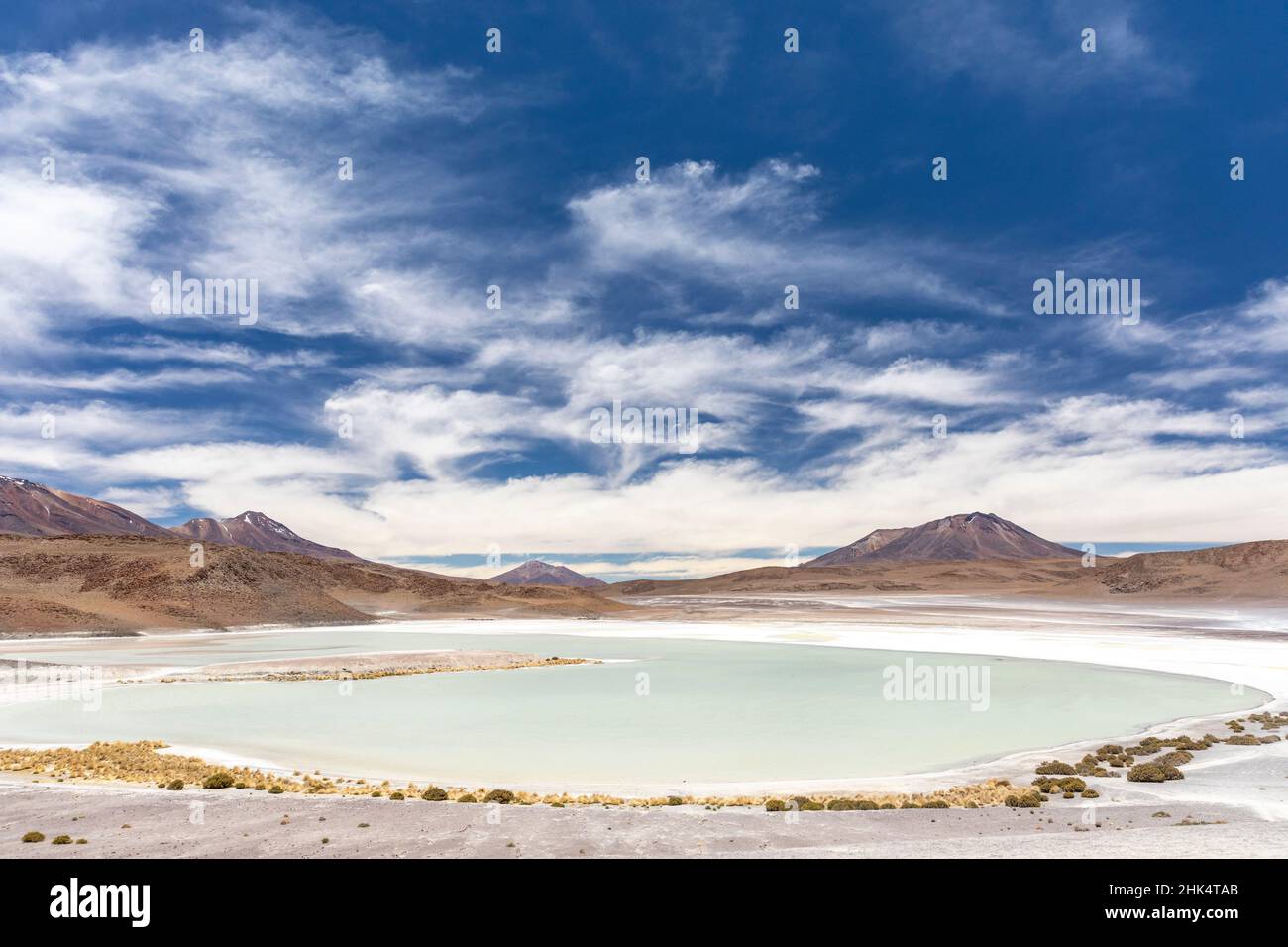 Blick auf den altiplano in der Nähe des Canapa-Sees (Laguna Canapa), Potosi Department, südwestlich von Bolivien, Südamerika Stockfoto