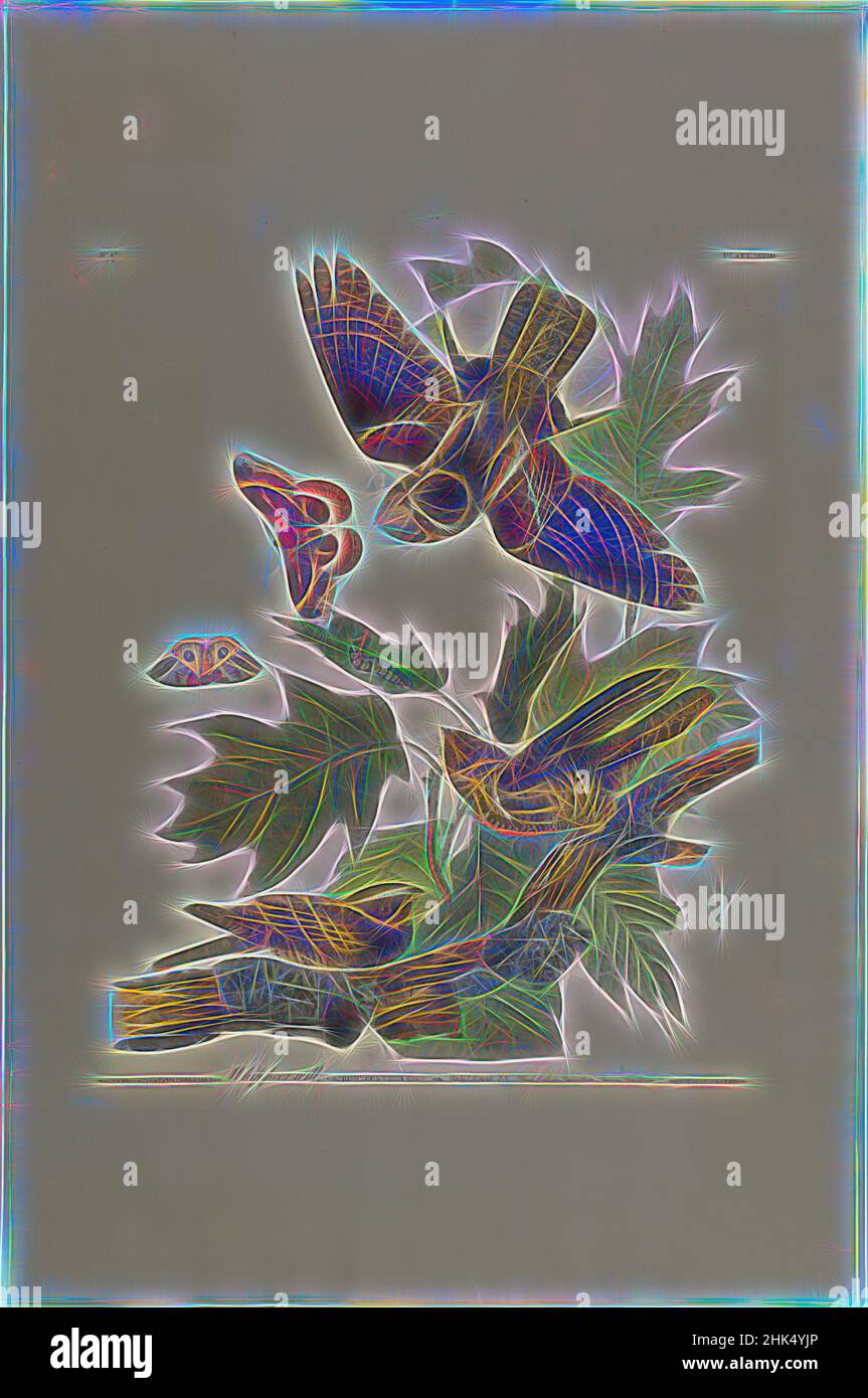 Inspiriert von Peitschenarm, Aquatint, 1830, ca.: 27 x 40 Zoll, 68,6 x 101,6 cm, Vogel, Ast, Schmetterling, Fauna, Flug, Flora, Blätter, Motte, Naturstudie, ornithologie, neu erfunden von Artotop. Klassische Kunst neu erfunden mit einem modernen Twist. Design von warmen fröhlichen Leuchten der Helligkeit und Lichtstrahl Strahlkraft. Fotografie inspiriert von Surrealismus und Futurismus, umarmt dynamische Energie der modernen Technologie, Bewegung, Geschwindigkeit und Kultur zu revolutionieren Stockfoto