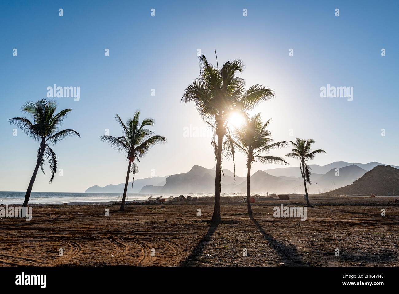 Palmen im Hintergrund am Mughsail Beach, Salalah, Oman, Middle East Stockfoto