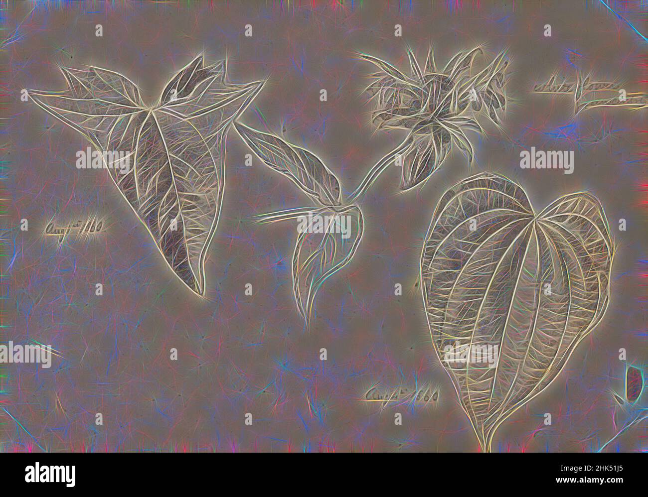 William Trost Richards, Amerikaner, 1833-1905, Graphit auf beige, Mäßig dickes, leicht strukturiertes Wove-Papier, August 1860, Blatt: 5 5/8 x 8 1/16 Zoll, 14,3 x 20,5 cm, amerikanisch, botanisch, botanisch, botanisch, Zeichnung, Feine Linien, Graphit, Blätter, Pflanze, Pflanzenstudie, Neu gestaltet von Artotop. Klassische Kunst neu erfunden mit einem modernen Twist. Design von warmen fröhlichen Leuchten der Helligkeit und Lichtstrahl Strahlkraft. Fotografie inspiriert von Surrealismus und Futurismus, umarmt dynamische Energie der modernen Technologie, Bewegung, Geschwindigkeit und Kultur zu revolutionieren Stockfoto