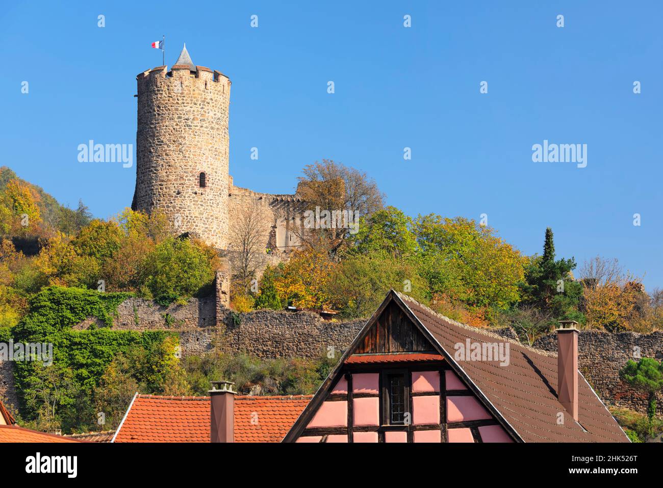 Schloss Kaysersberg, Elsass, Elsässische Weinstraße, Haut-Rhin, Frankreich, Europa Stockfoto