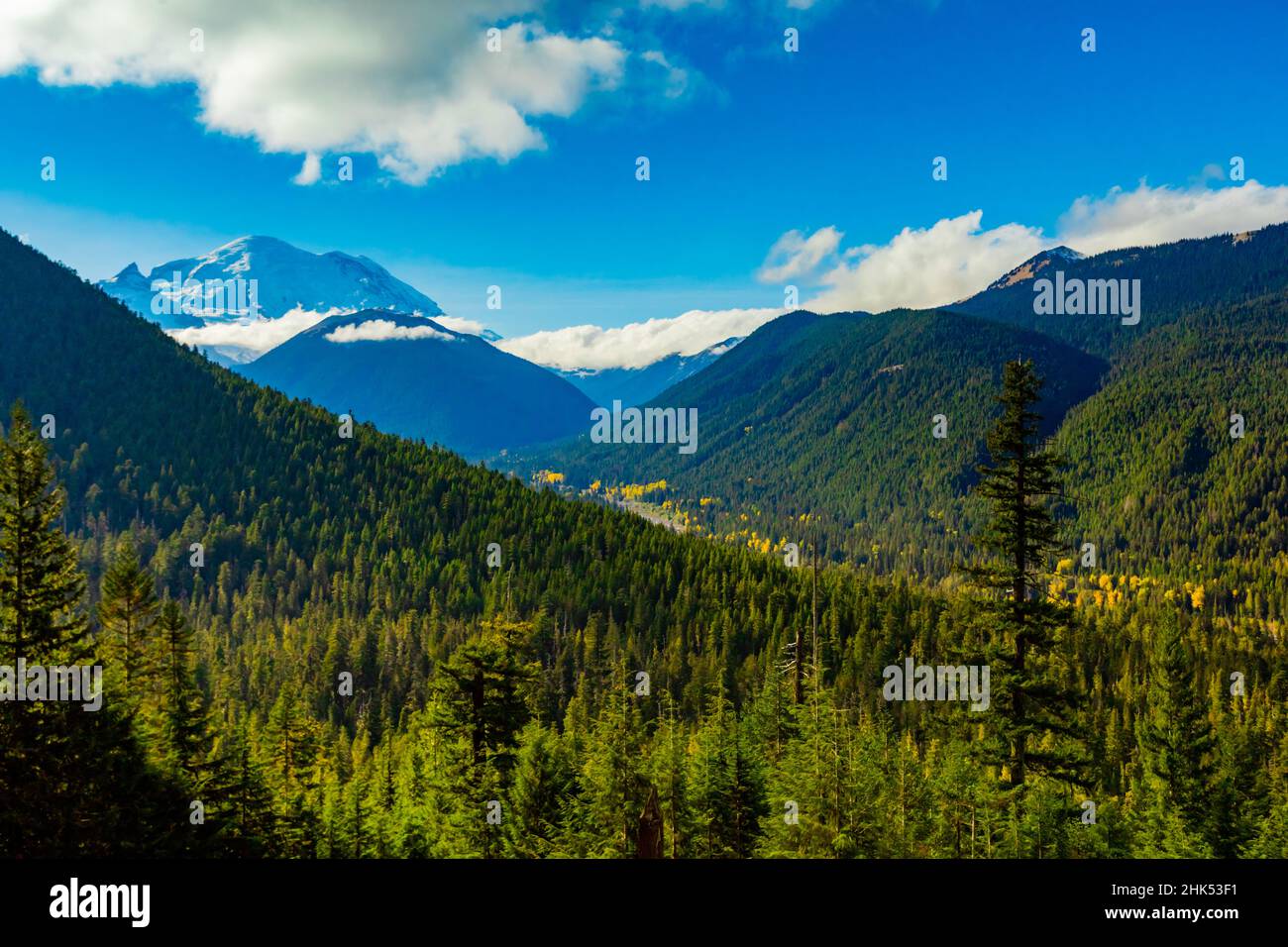 Blick auf Mount Rainier, einen Stratovulkan in der Cascade Range des pazifischen Nordwestens, gelegen im Mount Rainier National Park Stockfoto