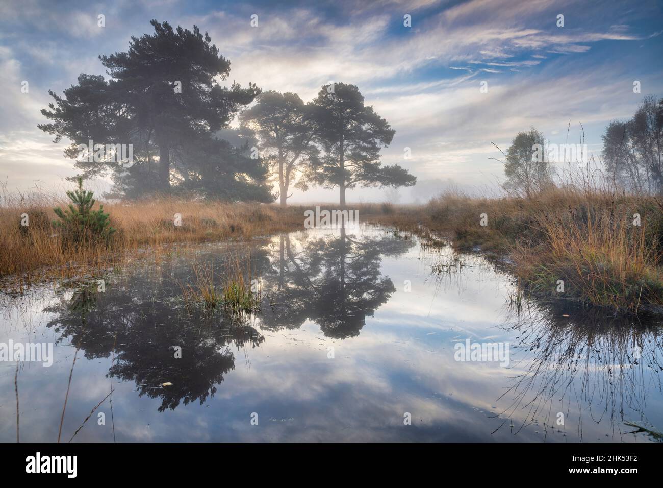 Neblig kühler Herbsturlaub im Strensall Common Nature Reserve in der Nähe von York, North Yorkshire, England, Großbritannien, Europa Stockfoto