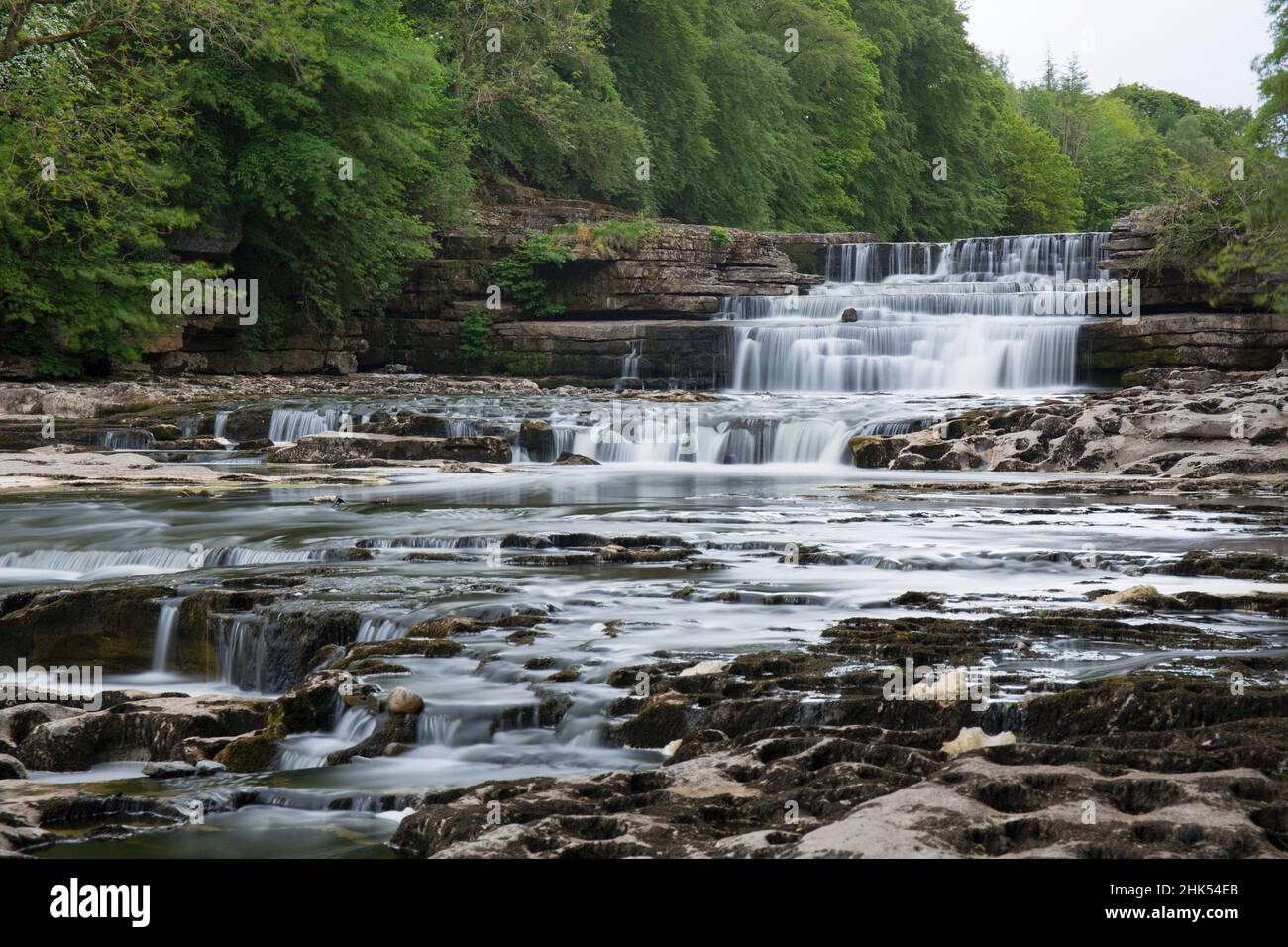 Lower Aysgarth Falls am Fluss Ure, in der Nähe von Leyburn, Wensleydale, Yorkshire Dales National Park, North Yorkshire, England, Großbritannien, Europa Stockfoto