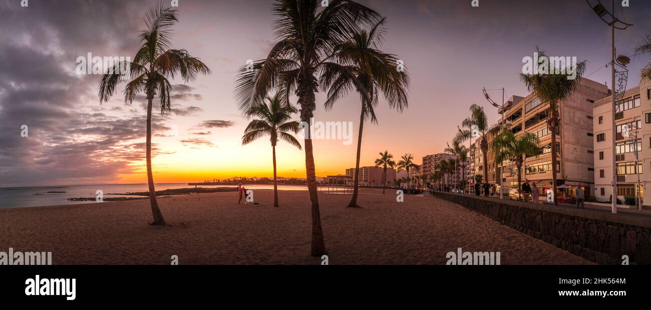 Blick auf Palmen am Playa del Reducto bei Sonnenuntergang, Arrecife, Lanzarote, Kanarische Inseln, Spanien, Atlantik, Europa Stockfoto