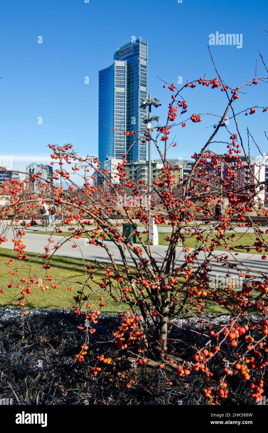 Biblioteca degli alberi, der neue Mailänder Park mit Blick auf den Palazzo della Regione Lombardia, Wolkenkratzer. 02. Februar 2022. Italien Stockfoto