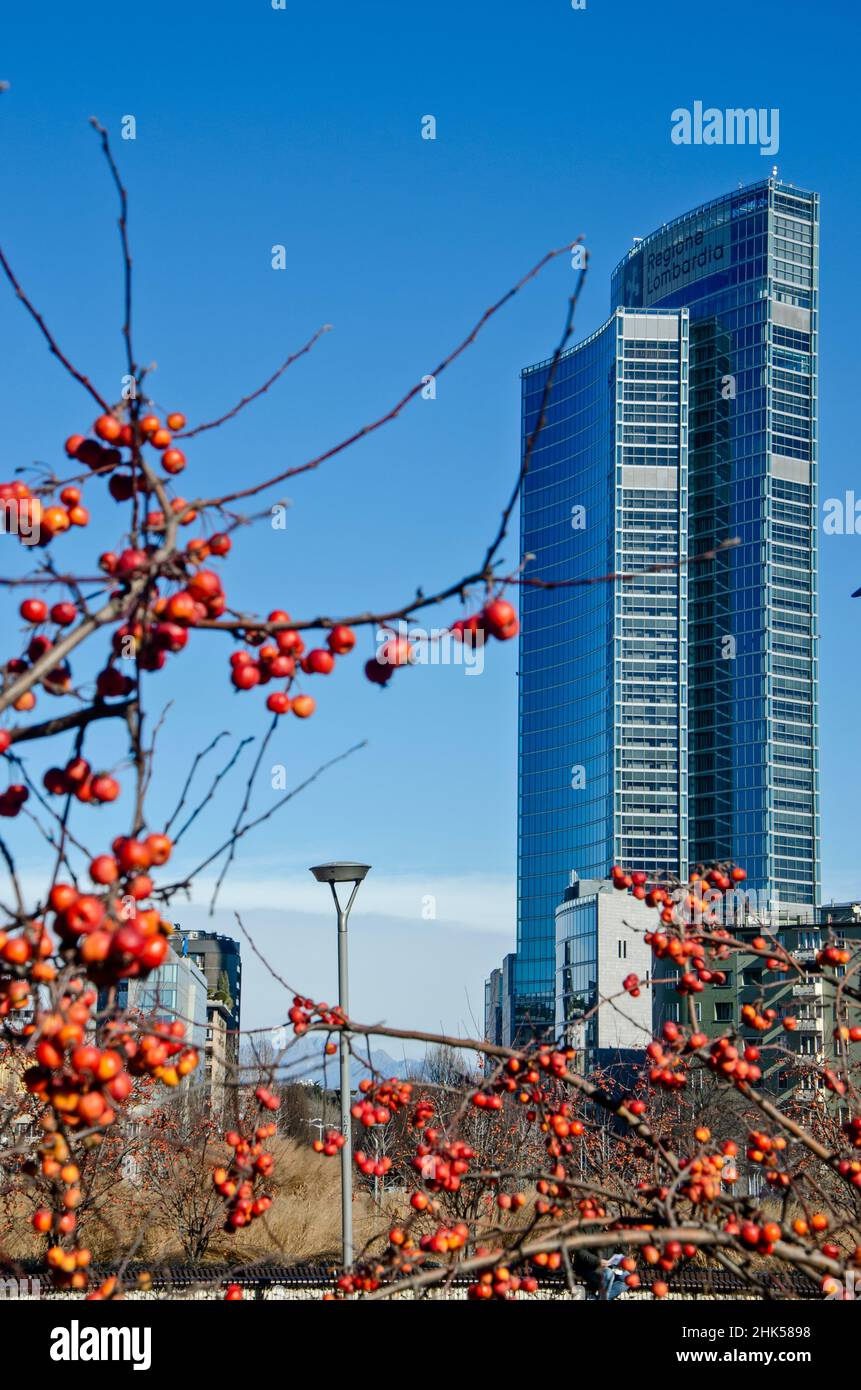 Biblioteca degli alberi, der neue Mailänder Park mit Blick auf den Palazzo della Regione Lombardia, Wolkenkratzer. 02. Februar 2022. Italien Stockfoto